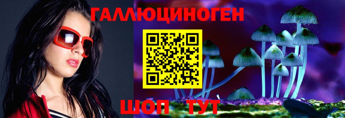 Галлюциногенные грибы GOLDEN TEACHER  как найти закладки  Псилоцибиновые грибы Magic Shrooms  Железногорск  Вход с VPN 